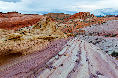 Painted Cliffs, Valley of Fire, NV
