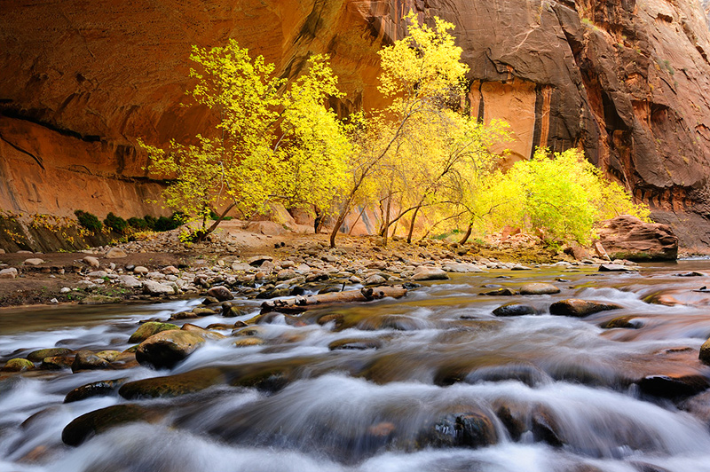 Virgin Narrows, Zion National Park, UT