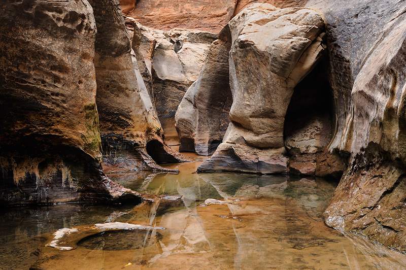 Subway, Zion National Park, UT