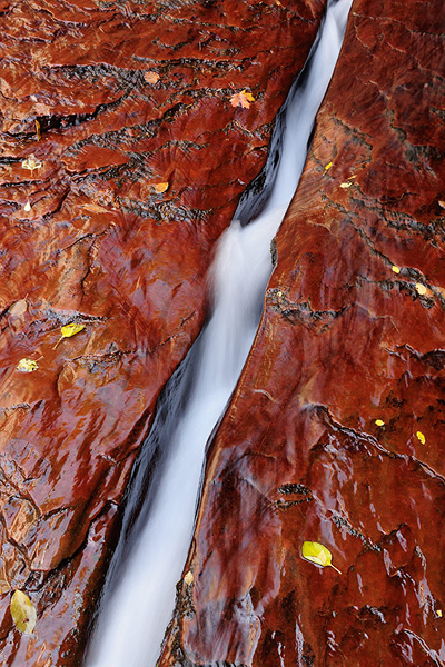 The Crack, Zion National Park, UT
