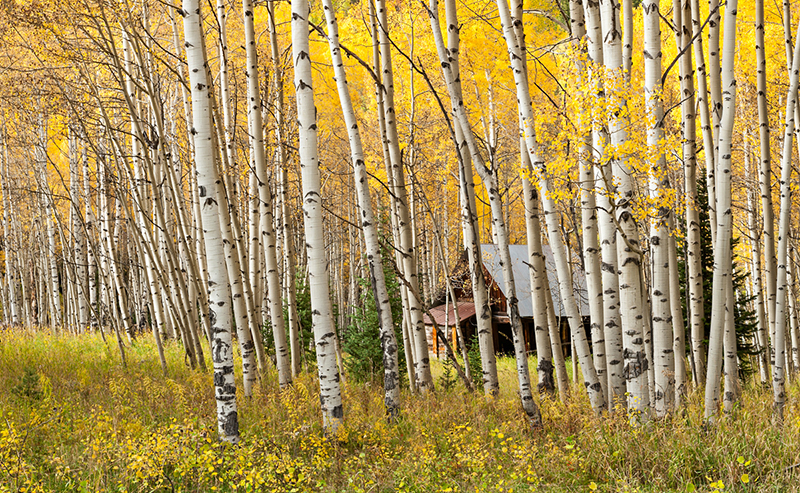 Lost Home, Crystal Ghost Town, CO