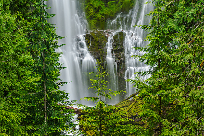 Proxy Falls, Willamette National Forest, OR