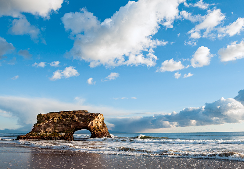 Natural Bridges, Santa Cruz, CA