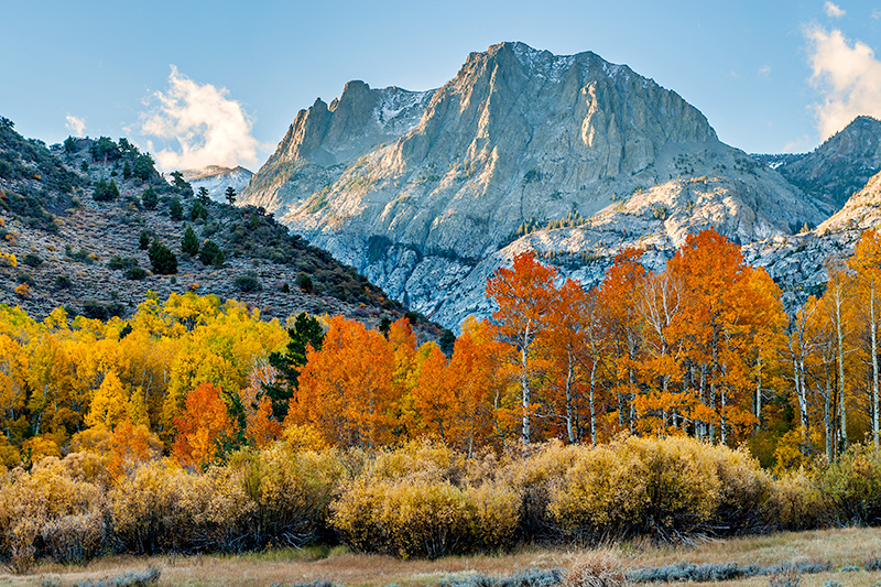 Carson Peak, Eastern Sierra, CA