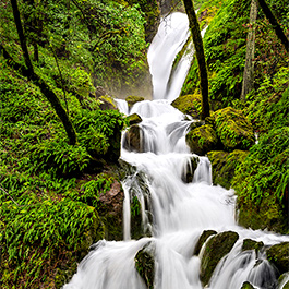 Cataract Falls, Marin County, CA