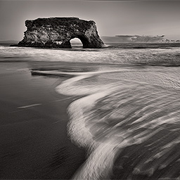 Natural Bridges, Santa Cruz, CA