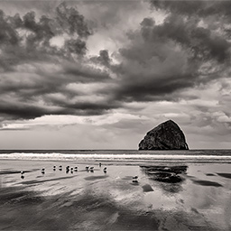 Cape Kiwanda, OR
