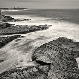 Marine Terraces, Davenport, CA