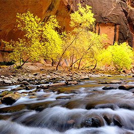 Virgin Narrows, Zion National Park, UT