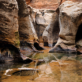 Subway, Zion National Park, UT