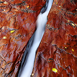 The Crack, Zion National Park, UT