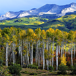 Kebler Pass, HWY 12, CO