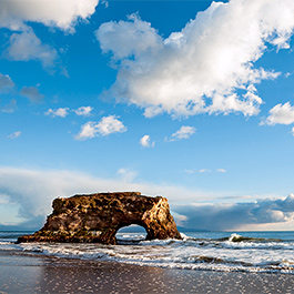 Natural Bridges, Santa Cruz, CA