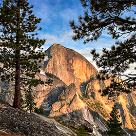 Half Dome from Snow Creek, Yosemite, CA