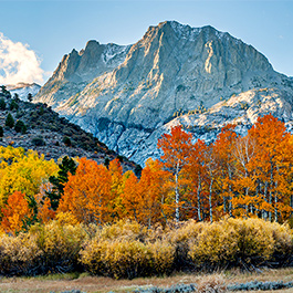 Carson Peak, Eastern Sierra, CA